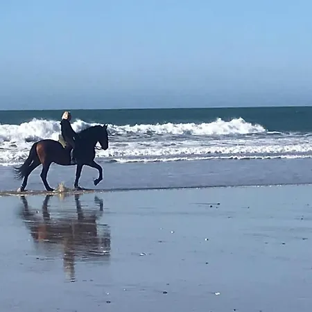 Apartman Chorrillo Iii