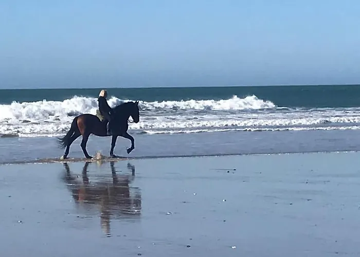 Апартаменти Chorrillo Iii